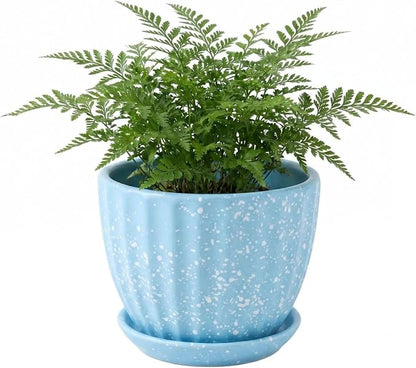4 Inch Ceramic Indoor Succulent Plant Pots with Drainage Holes and Saucers, Bonsai Planter for Succulent, Cactus, Small Flowers (Blue)