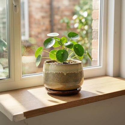 6 Inch Plant Pot - Ceramic Pots for Indoor Plants, Round Small Succulent Planter with Drainage and Saucer, Decorative Flower Pot, Office Room Decor, Gifts for Plant Lovers, Brown-Beige