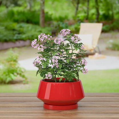 8.3 Inch Red Ceramic Planter with Drainage Hole and Saucer | Ideal for Indoor and Outdoor Plants, Modern Home Decor, Round, Gloss Red