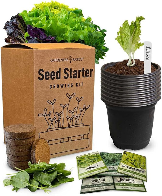 Beginner Indoor Garden Lettuce Kit - Includes Romaine, Buttercrunch Lettuces, Spinach, Arugula, and Kale Heirloom Seeds, Pots, Soils and Plant Markers - Complete Indoor Vegetable Garden Starter Kit
