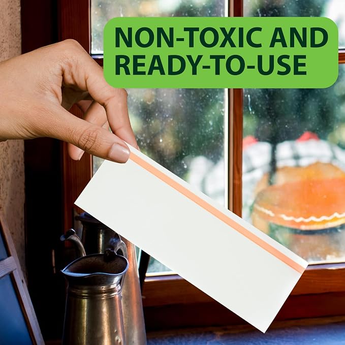 Greenway Window Fly Traps, Sticky Traps for Gnats and Flies, Non-Toxic Fly Control, Safe for Kids and Pets, Perfect for Indoor Use, 1 Pack (Includes 4 Traps)