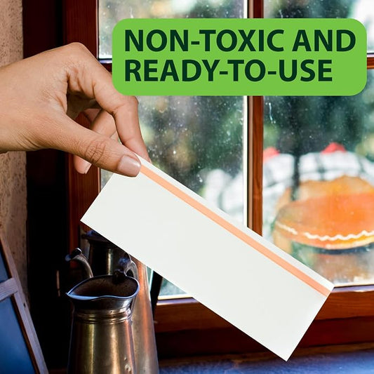 Greenway Window Fly Traps, Sticky Traps for Gnats and Flies, Non-Toxic Fly Control, Safe for Kids and Pets, Perfect for Indoor Use, 1 Pack (Includes 4 Traps)