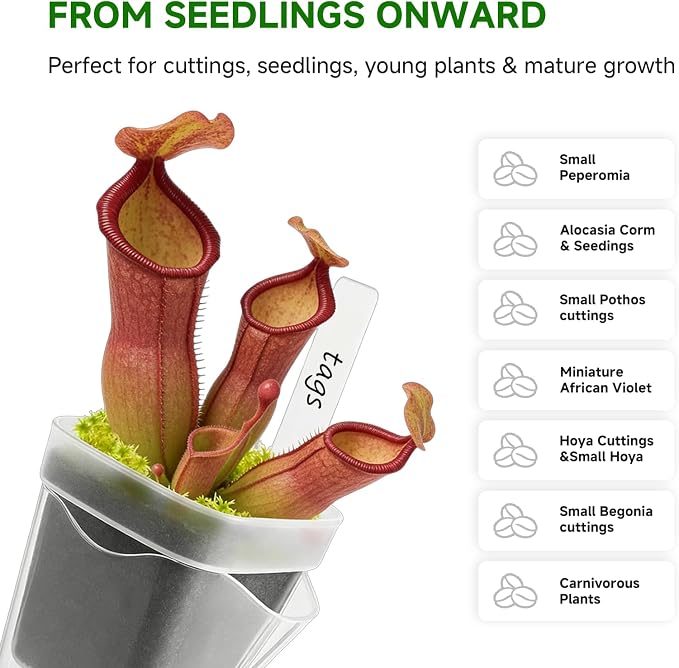 12 Pack 2.5" Small Self Watering Pots for Indoor Plants, Mini Clear Plastic Planters, Semi-Hydro, Propagation, Cuttings, Seedlings, Hoya, African Violets, Alocasia, LECA, PON,12 Plant Label (2.5-inch)