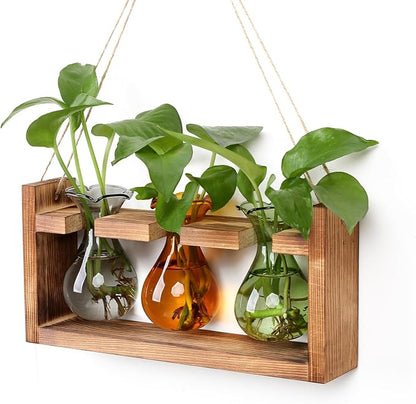 Plant Propagation Station Plant Terrarium Unique Birthday Gifts for Women | Plant Lovers Home Office Decor Planter with Wooden Stand - 3 Bulb Glass Vase