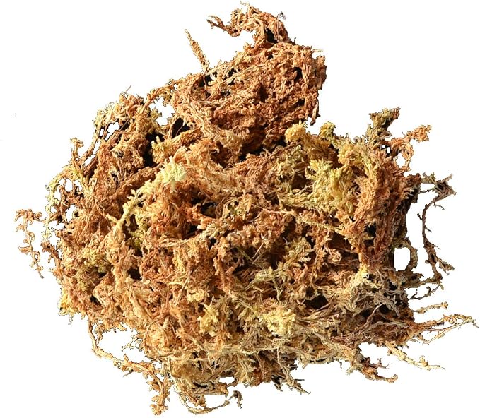 Mosser Lee ML0110 Long Fibered Sphagnum Moss – 432 cu in – High Water Retention, Soil-Free Gardening, Topiary Filler, Hanging Baskets, Crafts & Decoration | Absorbent Substrate, Soil-Free, for Gardening and Crafting, Soil Amendment and Basket Liner