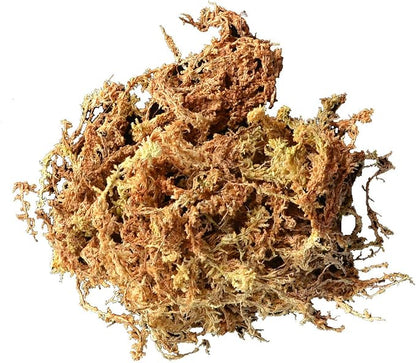 Mosser Lee ML0110 Long Fibered Sphagnum Moss – 432 cu in – High Water Retention, Soil-Free Gardening, Topiary Filler, Hanging Baskets, Crafts & Decoration | Absorbent Substrate, Soil-Free, for Gardening and Crafting, Soil Amendment and Basket Liner