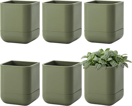 Phoenix Vine 3.5 Inch Wall Mounted Self-Watering Planter Pot for Indoor Houseplants and Herbs | Hanging Planter for Window Sills, Bathroom Walls, Home & Office Décor, Olive, Set of 6, 01-A-F-6