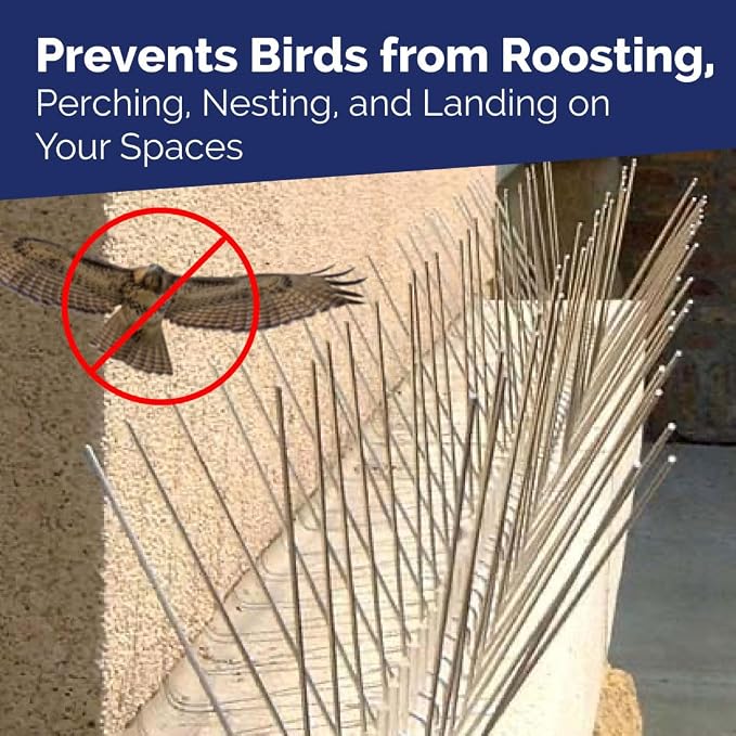 Bird-X Stainless Steel Spikes Stop Bird Roosting Pigeons 6 Inch Wide 10 Ft | Stops Bird Landing, Durable Stainless Steel, Ledges, Sings, Pipes Beams, For Pigeons, Seagulls, Sparrows & more 10 Feet