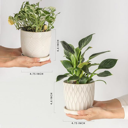 Nihow Ceramic Plant Pots with Drainage Hole & Saucer, 4.75 Inch, White-3 | Small,Embossed Design, For Succulent, Cactus, Little Snake, Indoor Plants