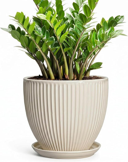Ceramic Plant Pots, 10 Inch Pots for Plants with Drainage Hole and Saucer, Round Flower Pot for Indoor Plants, Decorative Indoor Planter, House Porch Decor, House Warming Gifts, Cream White