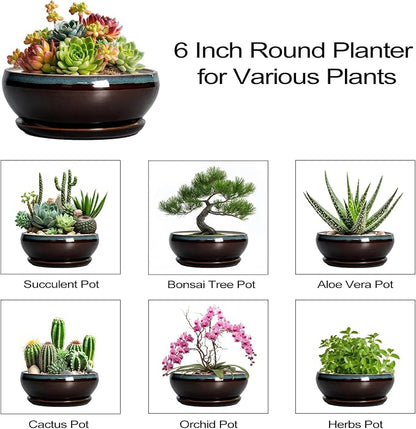 SQOWL Succulent Pots with Drainage Hole - 6 Inch Ceramic Bonsai Tree Pots, Shallow Planter with Saucer, Round Plant Pot for Succulent Indoor Outdoor, Porch Decor, Gifts for Plant Lover, Blue-Brown
