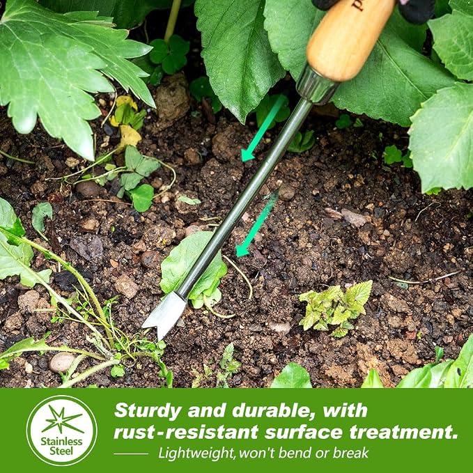 Berry&Bird Dandelion Weeding Tool, Crack Weeder Hand Weeder Puller Tool | V-Shaped Weed Fork for Planting & Weeding, Weed Puller Tool with Wood Handle, Stainless Steel Garden Tool for Patio Lawn Yard