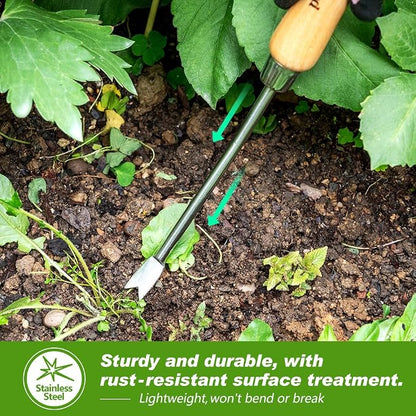 Berry&Bird Dandelion Weeding Tool, Crack Weeder Hand Weeder Puller Tool | V-Shaped Weed Fork for Planting & Weeding, Weed Puller Tool with Wood Handle, Stainless Steel Garden Tool for Patio Lawn Yard