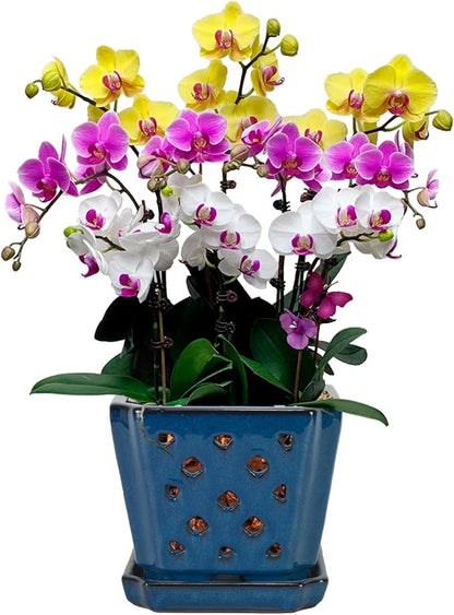 W&W Ceramic Orchid Pot with Holes and Saucer for Repotting, Blue, 7"