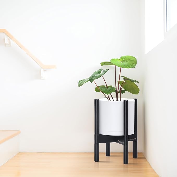 D'vine Dev Plastic Pot with Ebony Wood Stand, White, 8 in, 55-C-K-1 | Mid-Century Inspired Design, Elevated Plant Display, Clean Lines, Sturdy Support, Modern Space-Saving Style