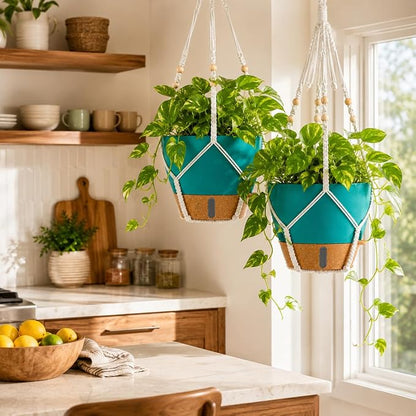 10 Inch Hanging Planters for Indoor Plants, 2 Pack Self Watering Hanging Baskets Flower Pots with Drainage Hole, Visual Reservoir & 2 Kinds of Plant Hanger for Home Decor (Deep Teal, 10 Inch)