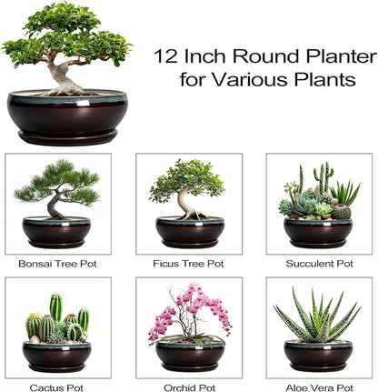 SQOWL Bonsai Planter 12 Inch - Ceramic Succulent Pots Large, Round Shallow Plant Pots Indoor with Drainage Hole and Saucer, Bowl Planter Outdoor for Flower, Room Decor, Housewarming Gifts, Blue-Brown