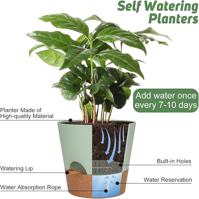 YNNICO 10-Inch Plant Pots, Self-Watering Planters with Drainage Holes & Saucers for Indoor and Outdoor Plants (2-Pack, Green)