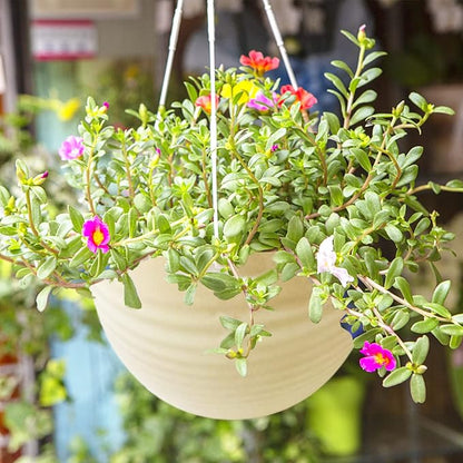 7 Pack 8 Inch Plastic Self-Watering Hanging Planters,Colorful Garden Flower Plant Pot Container Baskets with Drainer Chain for Indoor Outdoor Use,7 Colors