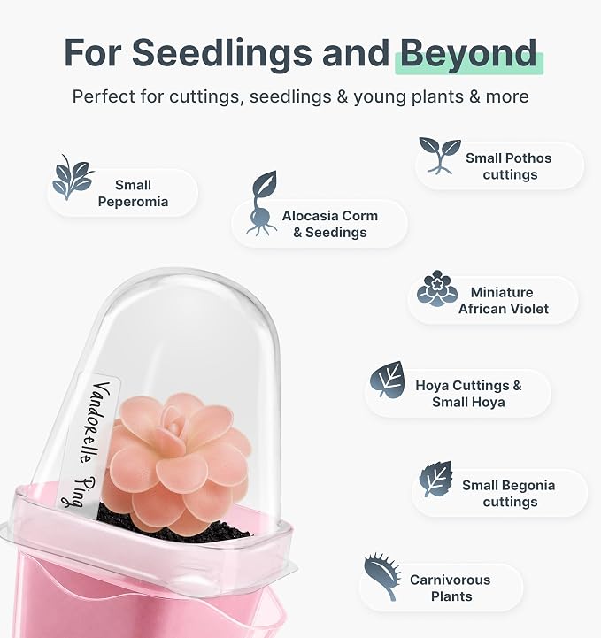 12 Pack 2" Small Pink Self Watering Pots with Humidity Dome for Indoor Plants,Clear Seed Starter Cup,Tissue Culture Acclimation Kit,Alocasia Corm Propagation,African Violet,Cutting,Seedling