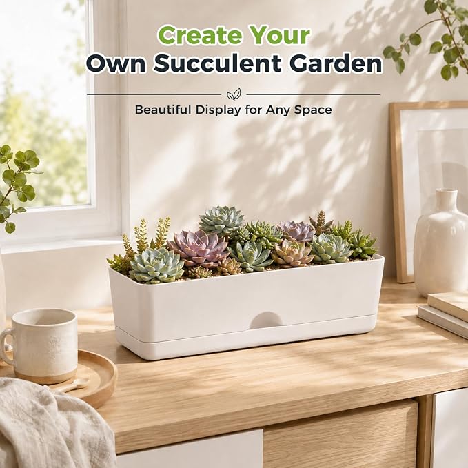 6 Pack Rectangle Planter 16x4.4 Inch Window Boxes Planters Rectangular Window Sill Planters Indoor Self Watering Plant Pots with Drainage Holes and Saucers Succulent Herb Flower Pots, Light Grey