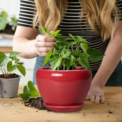 Ceramicfor 6 Inch Plant Pot - Glaze Modern Ceramic Planter for Indoor Plants, Succulent Pot with Drainage Hole and Saucer, Office Garden Home Decor, Housewarming Gift, Red