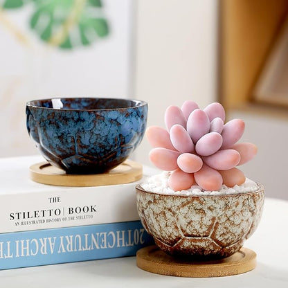 YYW Ceramic Succulent Planter, 4 Pack Cute Garden Pots with Drainage and Attached Saucer