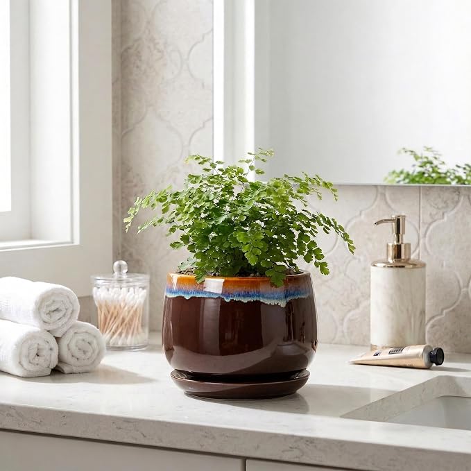 Ceramic Plant Pots - 6 Inch Planter with Drainage Hole and Saucer, Small Succulent Pot for Indoor Plants, Round Decorative Flower Pots, Garden Shelf Decor, Plant Gifts for Women, Brown-Blue