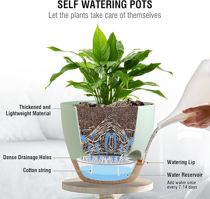 Meowell 10 inch Self Watering Hanging Planters for Indoor Plants, 2 Pack Hanging Baskets for Outdoor Plants, Hanging Flower Pots with Drainage Holes & 2 Kinds of Plant Hangers for Home Decor, Green