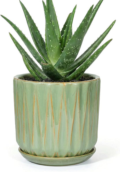 7.5 Inch Ceramic Planter Pot with Saucer Drainage Leak-Proof Mesh,Flower Pots for Indoor Plants with Gardening Gloves,Ceramic Planter(Light Green)
