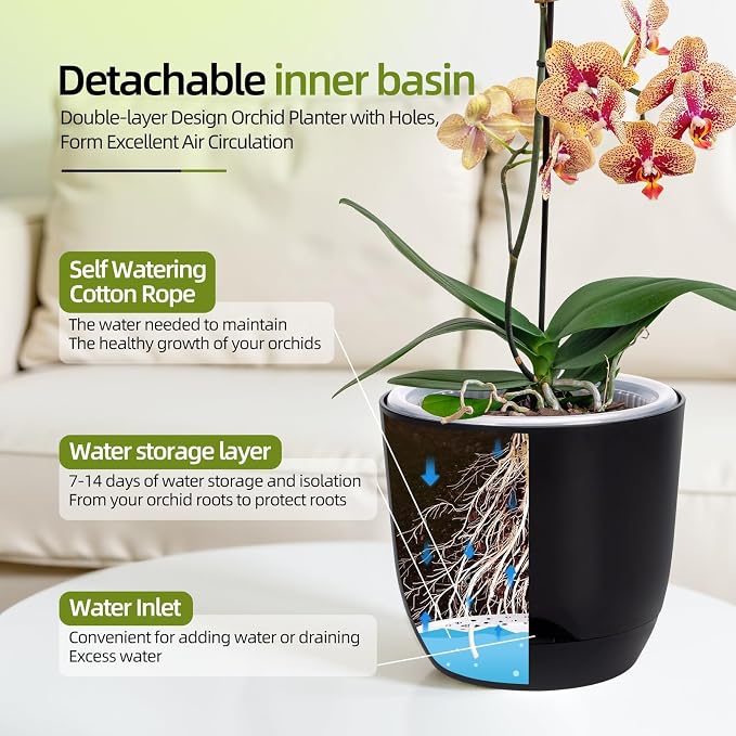 QCQHDU 7.2Inch Orchid Pots with Holes for Repotting, Double-Layer Plastic Self Watering Flower Pots for Indoor Plants with Drainage Holes, Clear Orchid Pot Match Decorative Orchid Container, 1Pack