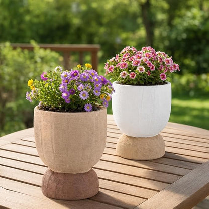 DREAMLOOM 6.4Inch Coarse-Grained Terracotta Pots for Succulents, 2Pcs Flower Planters with Drainage Holes, Bonsai, Cactus Aloe, Herbs, Orchid, Rustic Color