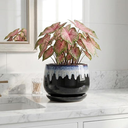 Ceramic Plant Pots 7 Inch - Ceramic Planter with Drainage Hole and Saucer, Decorative Flower Pots for Indoor Plants, Indoor Planter, House Garden Decor, Gifts for Plant Lovers, Black-Blue