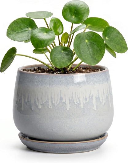 4 Inch Planter - Ceramic Plant Pots for Indoor Plants, Round Succulent Pots with Drainage and Saucer, Decorative Small Planter, Home Desktop Decor, Gardening Gifts for Women, Grey-White