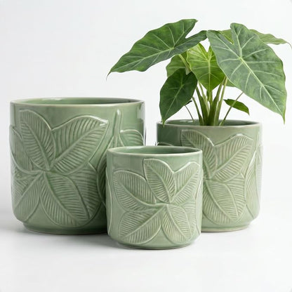 Ceramic Pots for Plants Set of 3, 6, 5, 4 Inch Diameter with Drainage Holes | Thick Durable Ceramic Pots, Plant Pots with Drainage Holes, Mesh Pads, Drain Plugs & Anti-Scratch Pads, Decorative Flower Pot