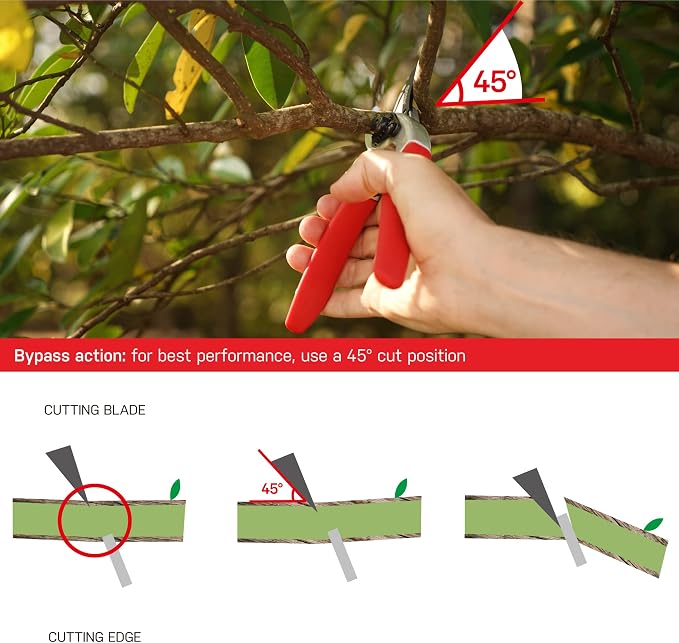 Eden 39002 Adjustable Bypass Pruning Shears, 7/8 inch cutting diameter for Stems and Branches