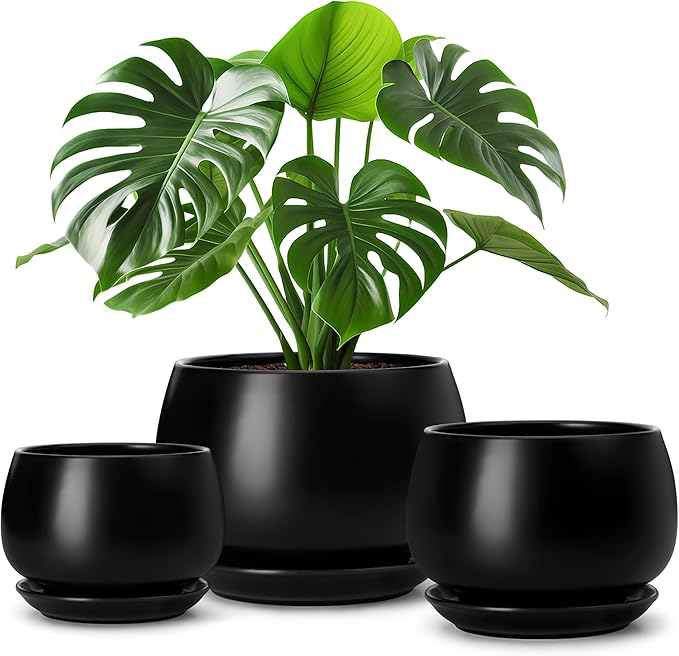 vancasso 3-Pack Ceramic Plant Pots, 3.7/4.8/6.2 Inch Indoor Planters with Saucers & Drainage Hole Planter pots for Indoor Plants and Flower, Black