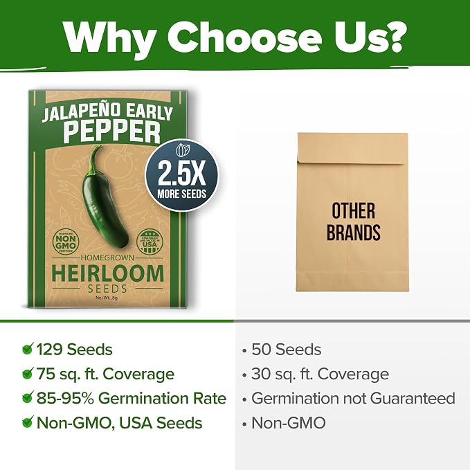 HOME GROWN Jalapeno Pepper Seeds 129+ Heirloom Non-GMO Seeds for Planting, High Germination, Mild to Medium Heat Hot Peppers, Prolific Garden Crop, Perfect for Salsa & Pickling (Capsicum annuum)