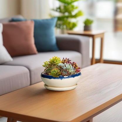 SQOWL Succulent Pots 6 Inch, Ceramic Bonsai Pots with Saucer, Blue-Beige | Round Shallow Planter for Indoor Plants, Ceramic Cactus Pot with Drainage Hole, Apartment Decor, Gifts for Women