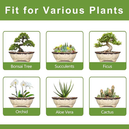 Ceramic Bonsai Tree Pots - 11 Inch Succulent Pots with Drainage Hole, Decorative Bonsai Pot for Indoor Outdoor Plants, Succulent Planters, Front Porch Decor, Gardening Gifts, Oval Beige-Brown