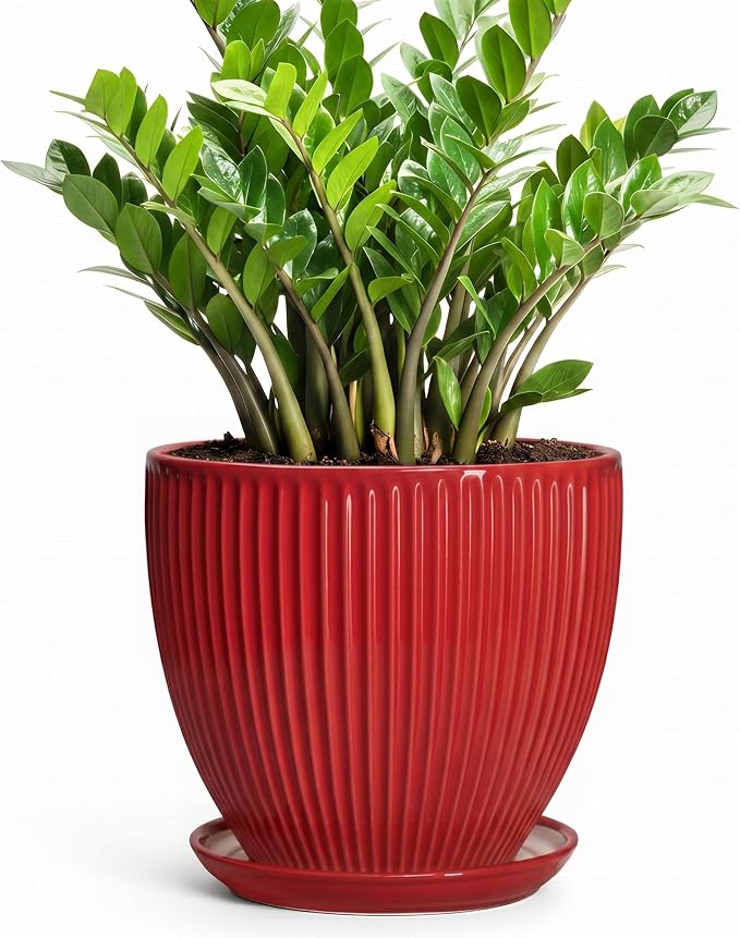 10 Inch Plant Pot, Ceramic Planters for Indoor Plants, Decorative Plant Pots with Drainage Hole and Saucer, Modern Round Large Planter, Office Apartment Decor, House Warming Gifts, Red