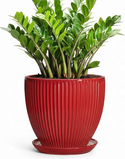 10 Inch Plant Pot, Ceramic Planters for Indoor Plants, Decorative Plant Pots with Drainage Hole and Saucer, Modern Round Large Planter, Office Apartment Decor, House Warming Gifts, Red