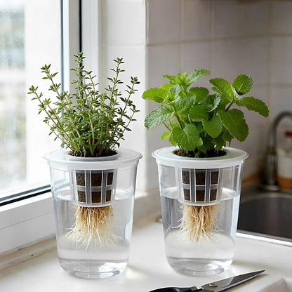 12 Pack 5in1 Seed Starter Cup Kit With Dome,Propagation Cups Self Watering, Table Top Mini Greenhouse Hydroponics Growing System Kit,Plant Lover Gardening Essentials,Indoor Herb Garden,Root Monitoring
