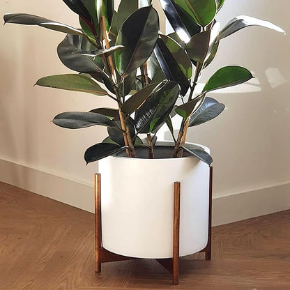 Fox & Fern Mid Century Plant Stand — 14.9 Inch Fixed Size Wooden Plant Stand for Indoor Planters (Not Included) - Extra Large Flower Pot Holder for Indoor Big Pots - Plug In Design - Acacia