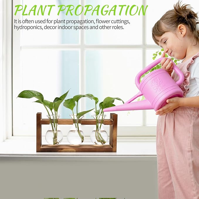 Plant Propagation Station Plant Terrarium Unique Birthday Gifts for Women | Plant Lovers Home Office Decor Planter with Wooden Stand - 3 Bulb Glass Vase