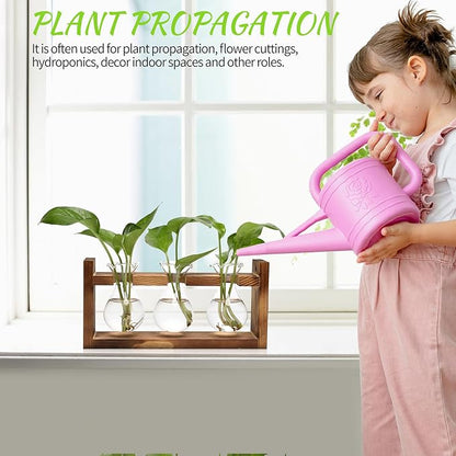 Plant Propagation Station Plant Terrarium Unique Birthday Gifts for Women | Plant Lovers Home Office Decor Planter with Wooden Stand - 3 Bulb Glass Vase