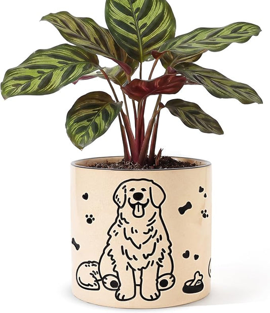 Ceramic Planter 5 Inch Plant Pots Indoor Succulent Plant Pot Cute Flowerpot | Unique Dog Pattern