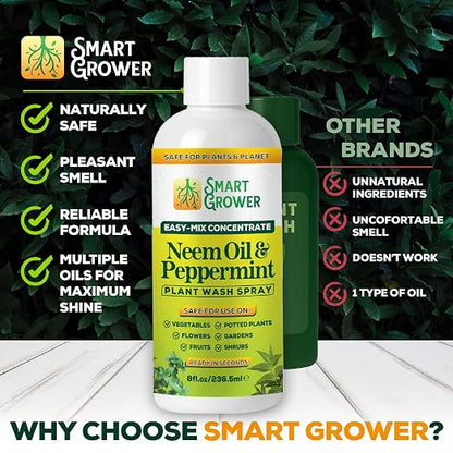 Neem Oil Spray for Plants with Peppermint Oil – for Indoor & Outdoor Plants, Gardens, & Houseplants– Best Value Refill 8 oz Concentrate Makes 1 Gallon RTU