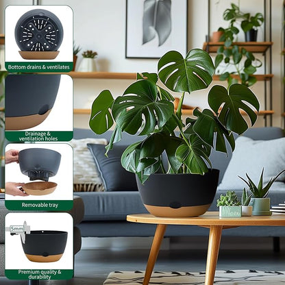 Koalaime 8/10/12 Inch Pots for Indoor Plants, Large Self Watering Planters with Drainage and Saucers, Plastic Outdoor Flower Pot, Set of 3, Grey