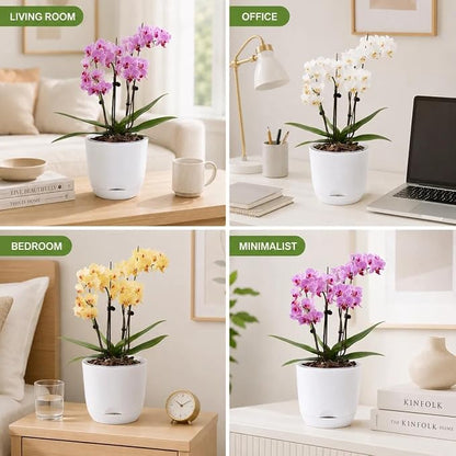 5.7Inch White Orchid Pots with Holes for Repotting, Double-Layer Plastic Self Watering Flower Pots for Indoor Plants with Drainage Holes, Clear Orchid Pot Match Decorative Orchid Container, 1 Pack